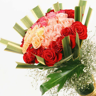 korea rose