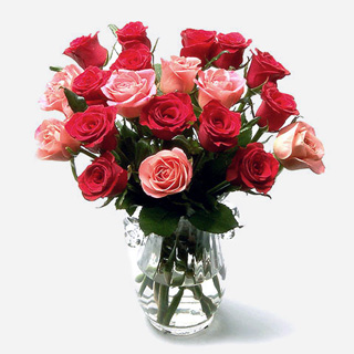 korea rose
